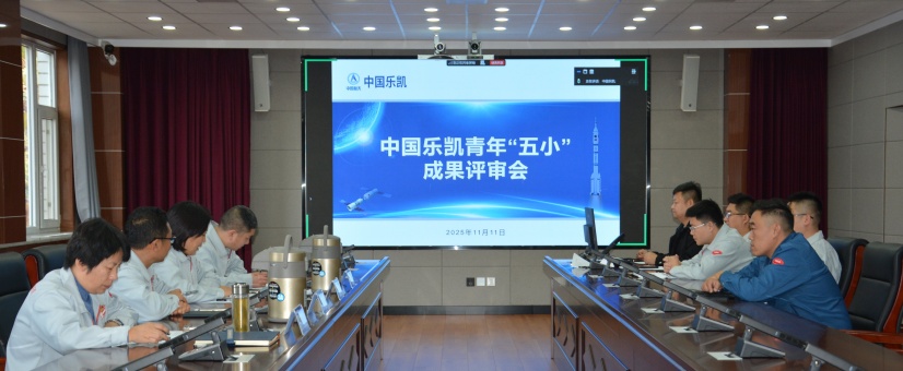 激揚青春智造力！中國樂凱團(tuán)委召開青年“五小”成果評審會